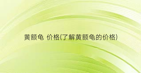 黄额龟 价格(了解黄额龟的价格)
